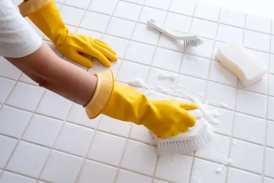 Benefits Of Deep Cleaning For Allergy Relief Federal Way, WA