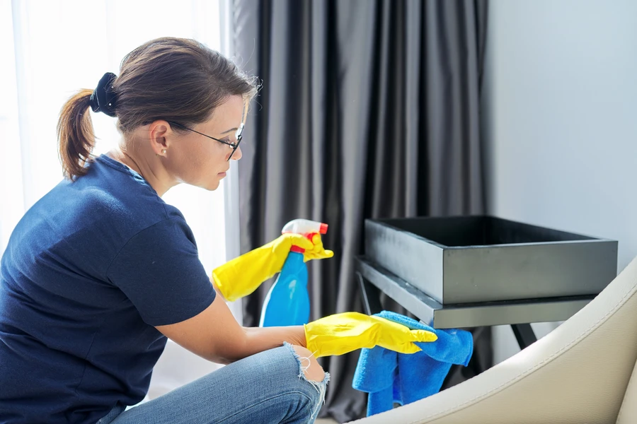 Professional Home Cleaner in Federal Way, WA