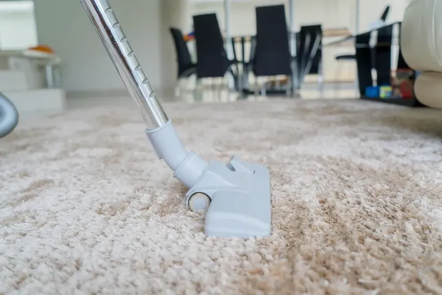 The Benefits Of Professional Carpet Cleaning For Allergies Federal Way, WA